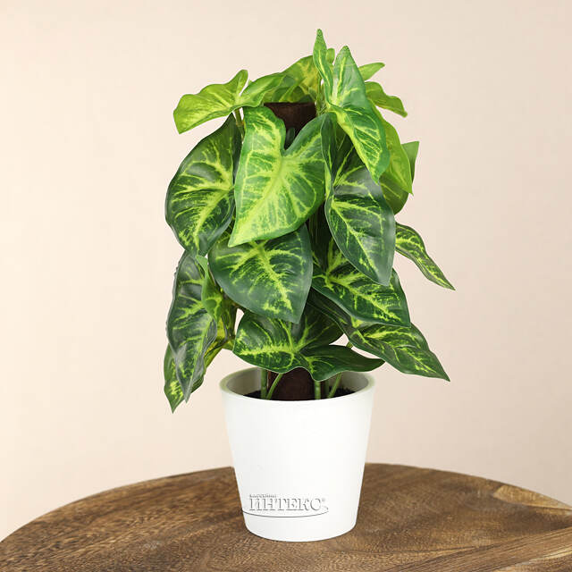 Искусственное растение в горшке Taro 25 см Koopman