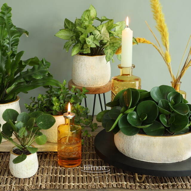 Керамическое кашпо Пуэрто 24*8 см бежевое Ideas4Seasons