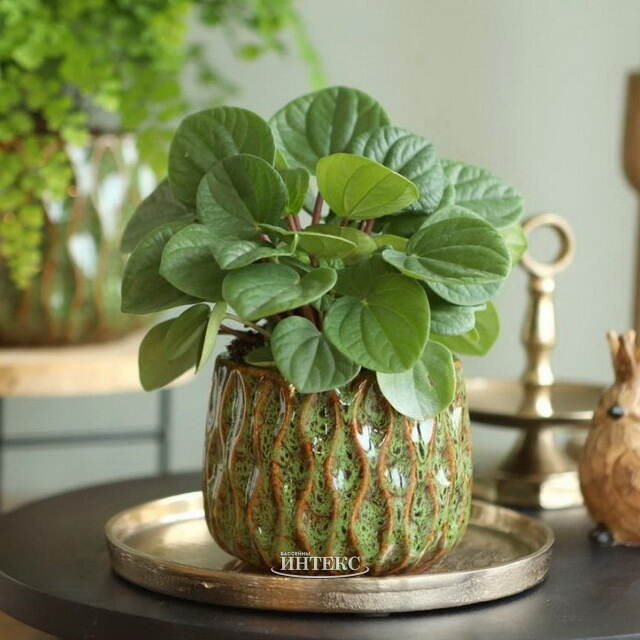 Керамическое кашпо Нуэва 15 см зеленое Ideas4Seasons (Идеас Фор Сезонс)
