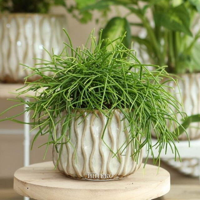 Керамическое кашпо Нуэва 15 см белое Ideas4Seasons