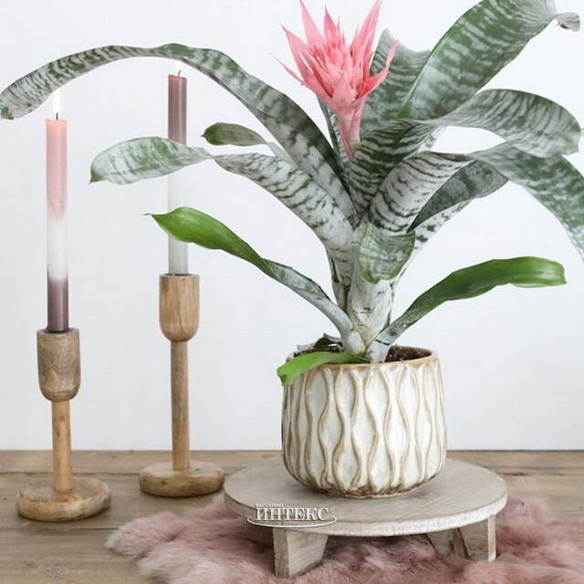 Керамическое кашпо Нуэва 15 см белое Ideas4Seasons