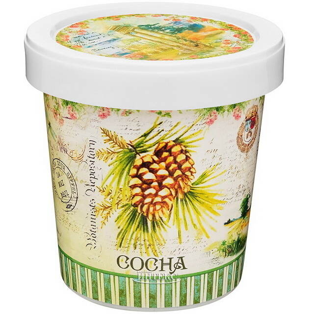 Набор для выращивания дерева Сосна Rostokvisa