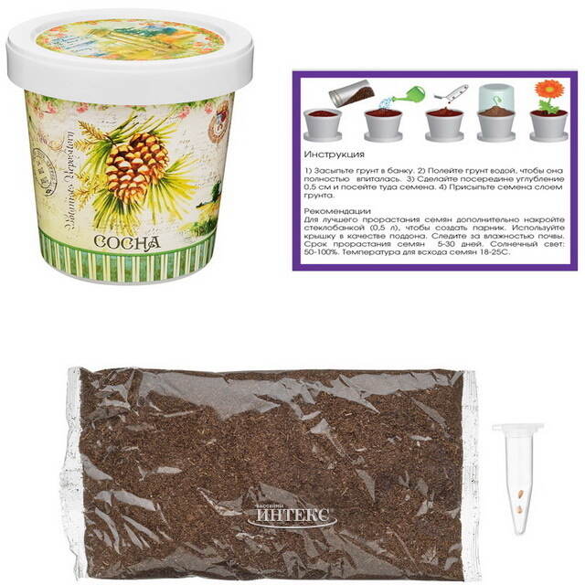 Набор для выращивания дерева Сосна Rostokvisa
