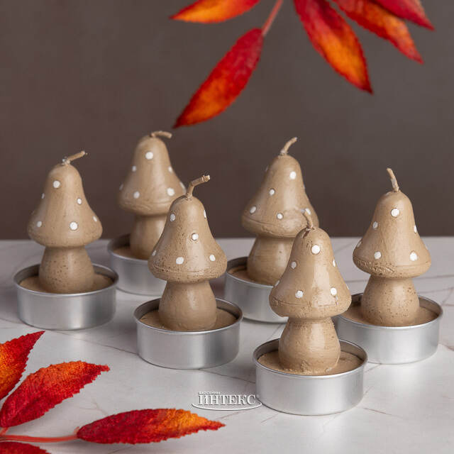 Набор свечей Грибочки, 6 шт Billiet