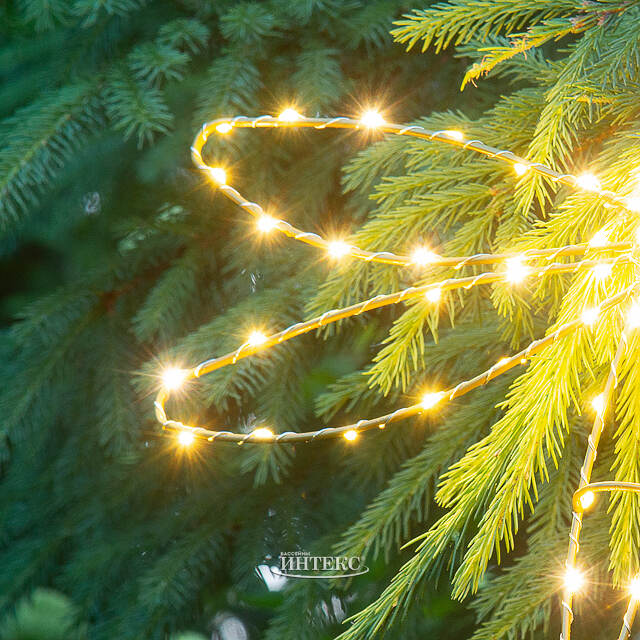 Плоское светодиодное украшение Стрекоза 50 см, 70 теплых белых LED ламп, IP44 Winter Deco