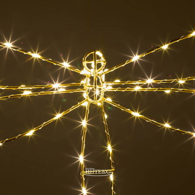Плоское светодиодное украшение Стрекоза 50 см, 70 теплых белых LED ламп, IP44 Winter Deco