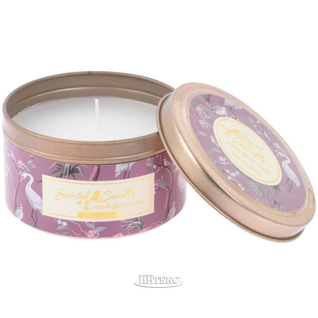 Ароматическая свеча Daphne - Winter Night 8*5 см Koopman