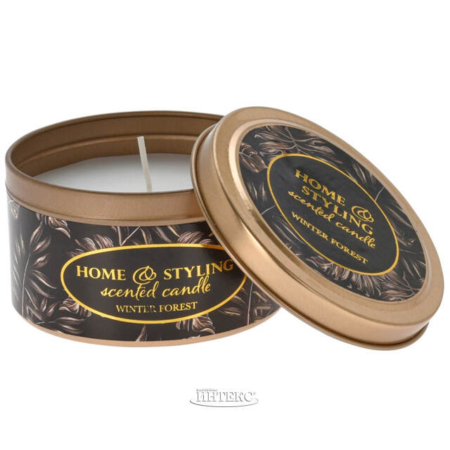 Ароматическая свеча Phoebe - Winter Forest 8*5 см Koopman (Купман)