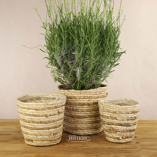 Набор декоративных кашпо Джутто 14-21 см, 3 шт Koopman