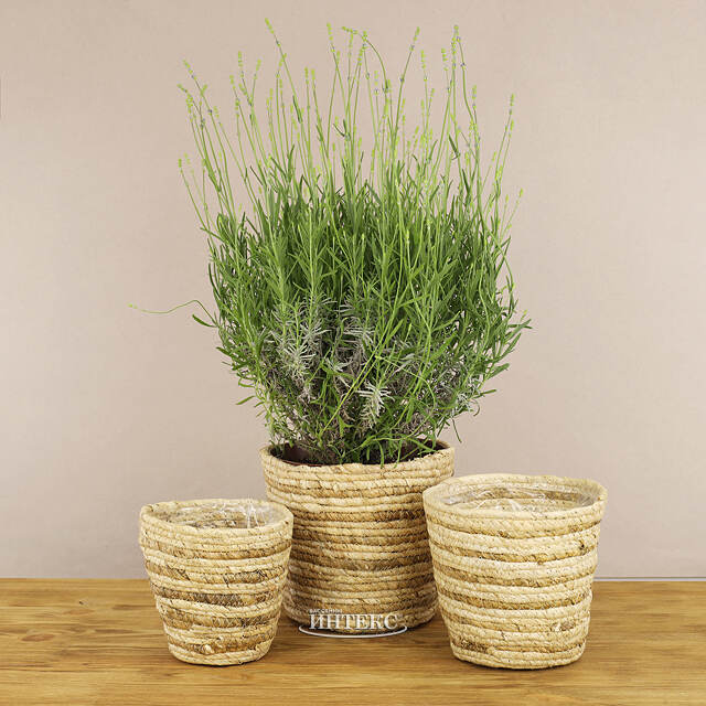 Набор декоративных кашпо Джутто 14-21 см, 3 шт Koopman