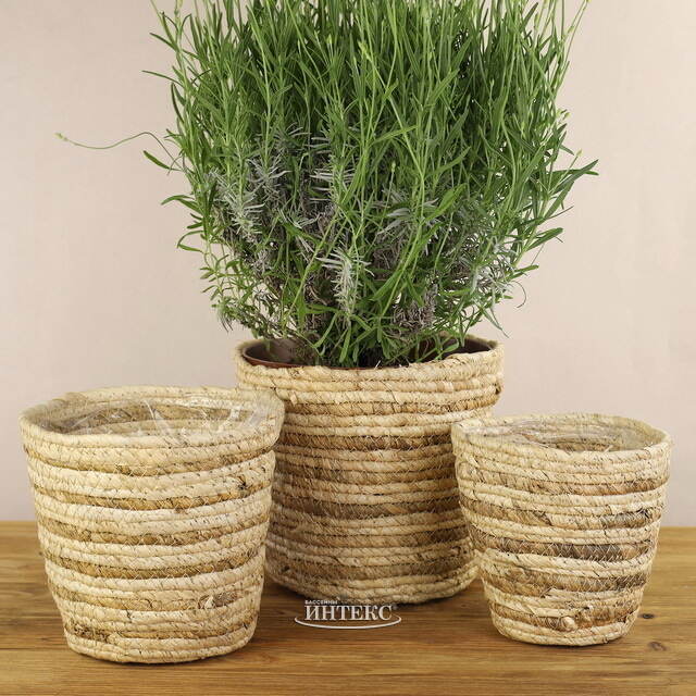 Набор декоративных кашпо Джутто 14-21 см, 3 шт Koopman