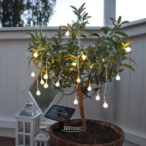 Садовая гирлянда на солнечной батарее Solar Light Bulbs 4.75 м, 20 теплых белых LED ламп, прозрачный ПВХ, IP44 Star Trading