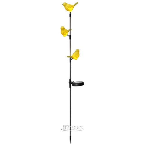 Садовый светильник Solar Птички на солнечной батарее 95 см, IP44 Star Trading
