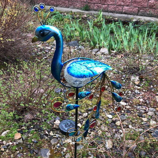 Садовый светильник Solar Peacock на солнечной батарее 80 см, IP44 Star Trading