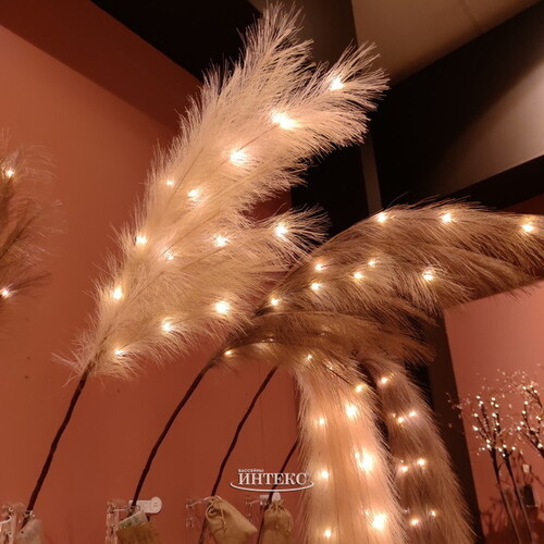 Светящаяся ветка для декора Перо Manosque - Mokko 70 см, теплые белые LED, на батарейках Kaemingk