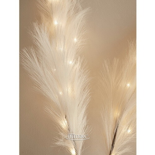 Светящаяся ветка для декора Перо Manosque - Milky White 70 см, теплые белые LED, на батарейках Kaemingk