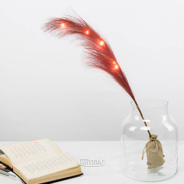 Светящаяся ветка для декора Перо Маноскью 70 см коралловая, теплые белые LED, на батарейках Kaemingk (Кейминг)