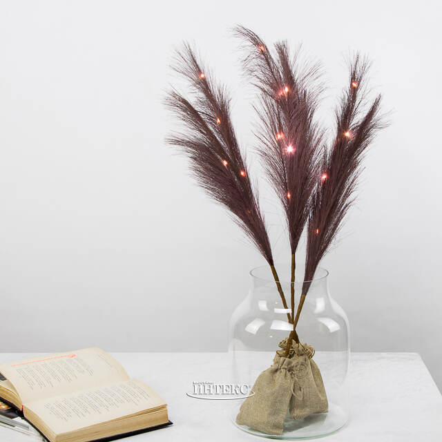 Светящаяся ветка для декора Перо Маноскью 70 см шоколадная, теплые белые LED, на батарейках Kaemingk (Кейминг)