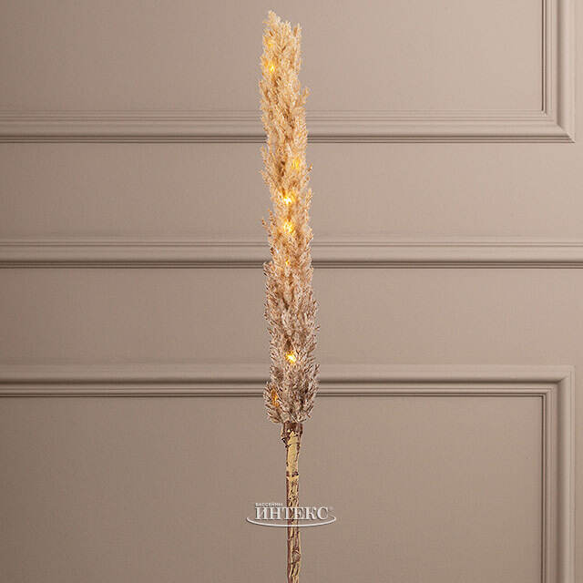 Светящаяся ветка для декора Кортадерия Брауни 70 см, теплые белые LED, на батарейках Kaemingk (Кейминг)