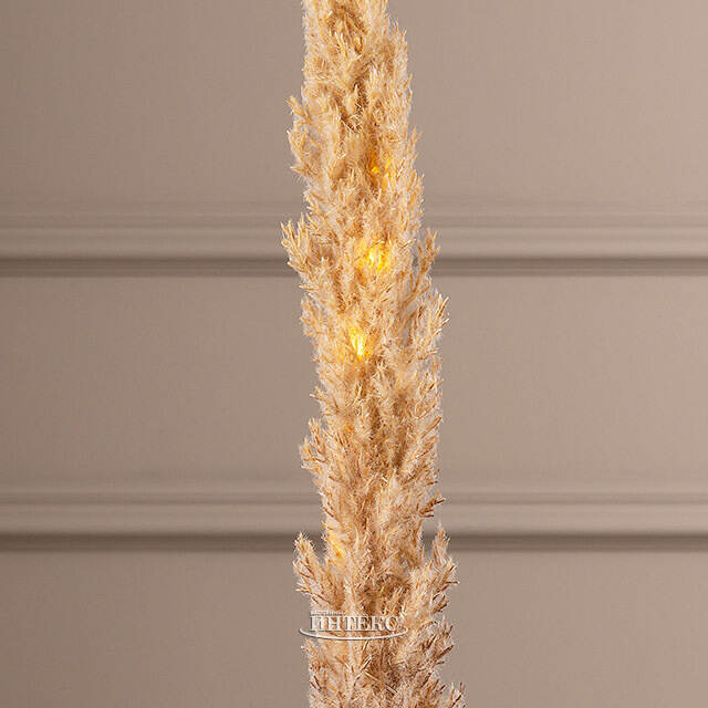 Светящаяся ветка для декора Кортадерия Брауни 70 см, теплые белые LED, на батарейках Kaemingk (Кейминг)