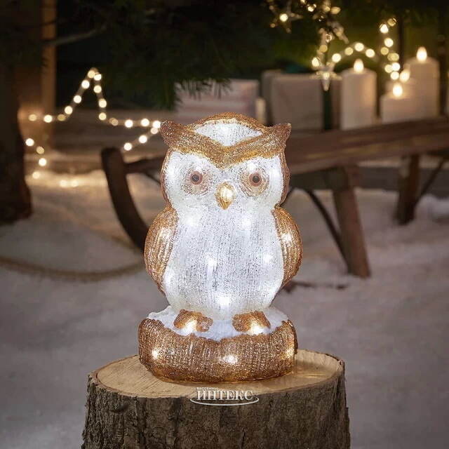 Светодиодная фигура Сова Фома - Felicity Forest 24 см, 30 холодных белых LED ламп, на батарейках, IP44 Kaemingk