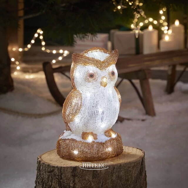 Светодиодная фигура Сова Фома - Felicity Forest 24 см, 30 холодных белых LED ламп, на батарейках, IP44 Kaemingk