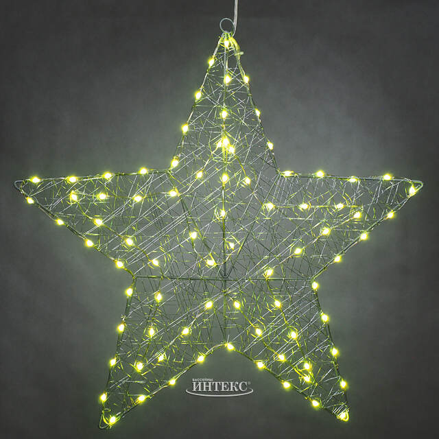 Светящаяся звезда Стелла 58 см, 80 разноцветных LED ламп, контроллер, таймер, пульт управления, IP44 Kaemingk