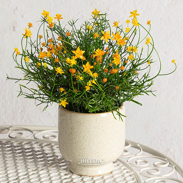 Искусственный цветок в горшке Хатиора 25 см, желтый Summer Deco