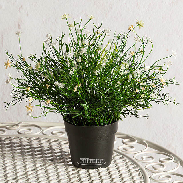 Искусственный цветок в горшке Хатиора 25 см, белый Summer Deco
