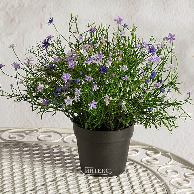 Искусственный цветок в горшке Wild Violet 26 см Summer Deco
