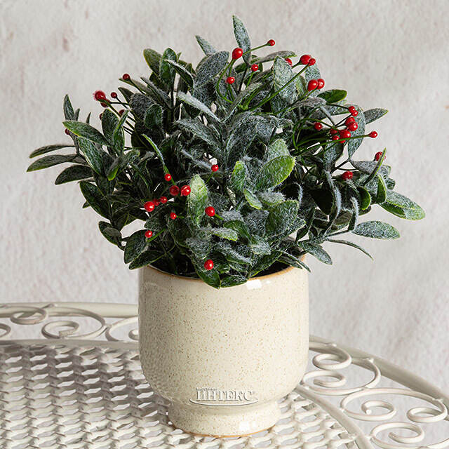 Искусственное растение в горшке Frost Garden 23 см Summer Deco