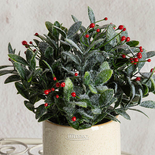 Искусственное растение в горшке Frost Garden 23 см Summer Deco