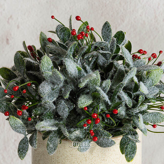 Искусственное растение в горшке Frost Garden 26 см Summer Deco