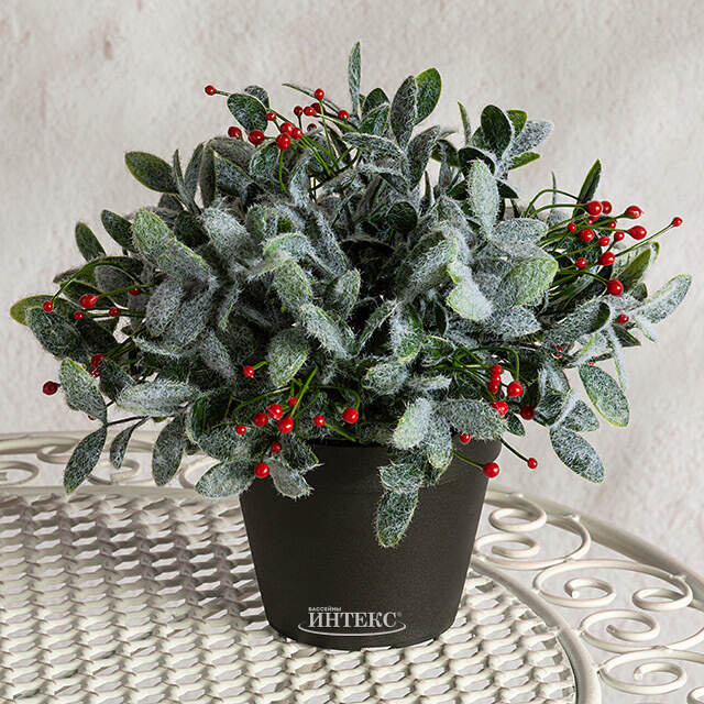 Искусственное растение в горшке Frost Garden 26 см Summer Deco