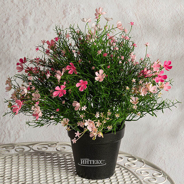 Искусственный цветок в горшке Джиноза 36 см, розовый Summer Deco