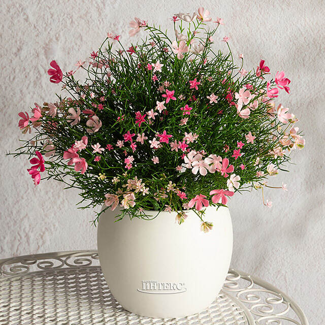 Искусственный цветок в горшке Джиноза 36 см, розовый Summer Deco
