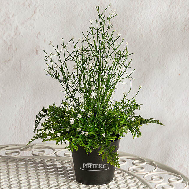 Искусственный цветок в горшке Аспарагус 28 см Summer Deco