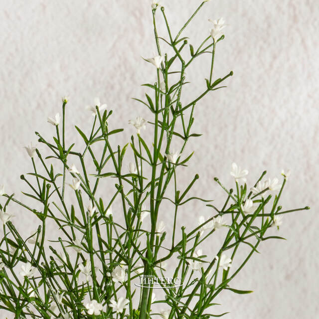 Искусственный цветок в горшке Аспарагус 28 см Summer Deco