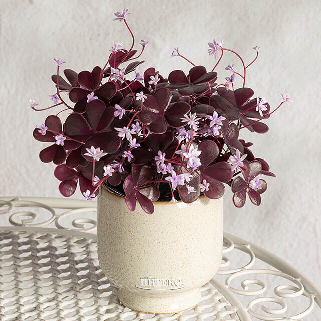 Искусственный цветок в горшке Оксалис 22 см Summer Deco