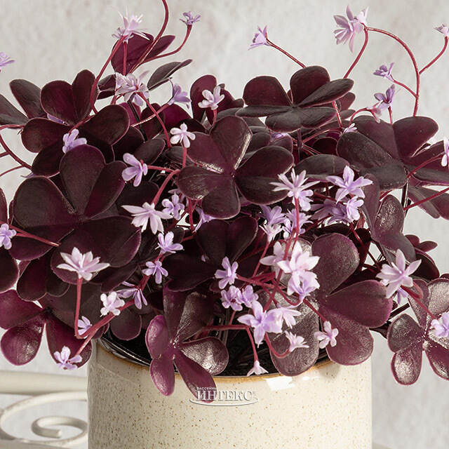 Искусственный цветок в горшке Оксалис 22 см Summer Deco