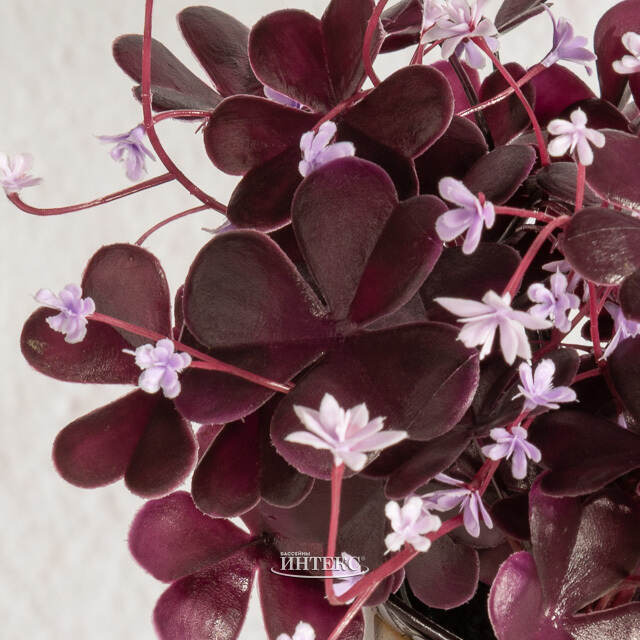 Искусственный цветок в горшке Оксалис 22 см Summer Deco