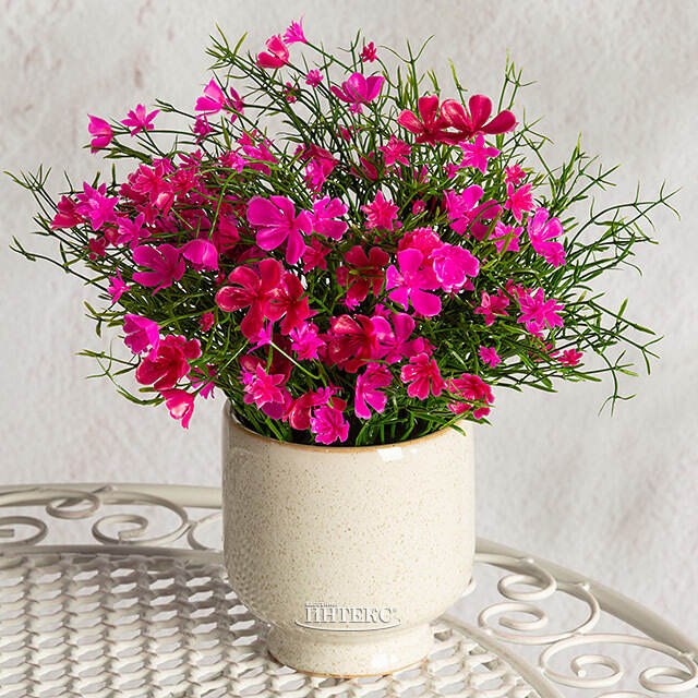 Искусственные цветы в горшке Флоксы розовые 23 см Summer Deco