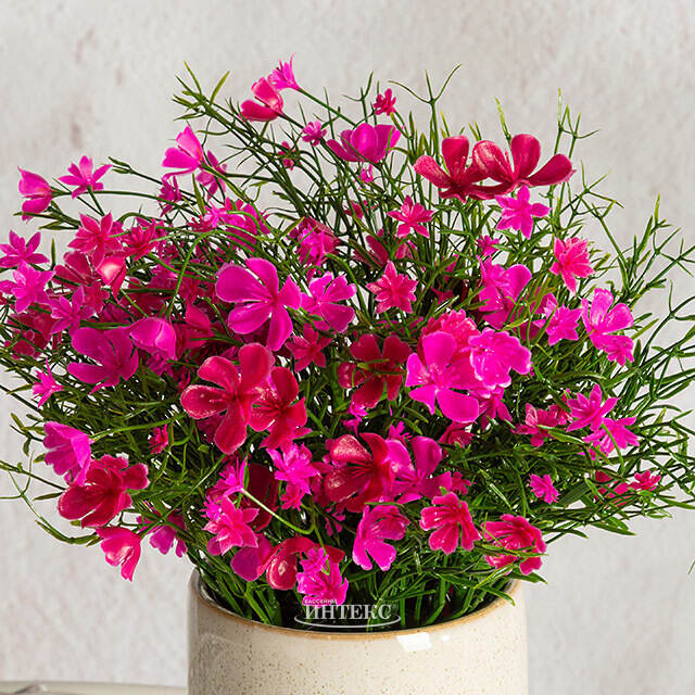 Искусственные цветы в горшке Флоксы розовые 23 см Summer Deco