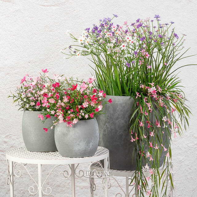 Искусственный цветок в горшке Таллинум 51 см белый Summer Deco