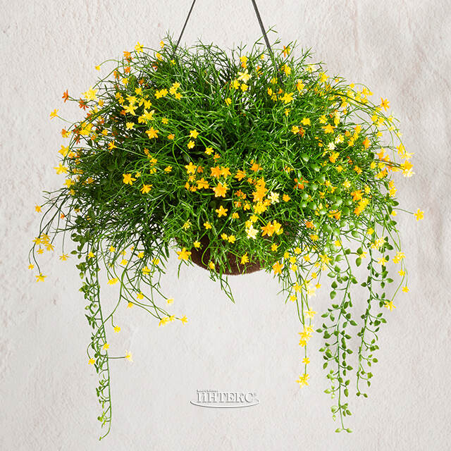 Искусственный цветок в кашпо Матерра - Аромат Лета 43 см Summer Deco