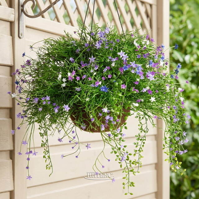 Искусственный цветок в кашпо Матерра - Нежный Сонет 43 см Summer Deco