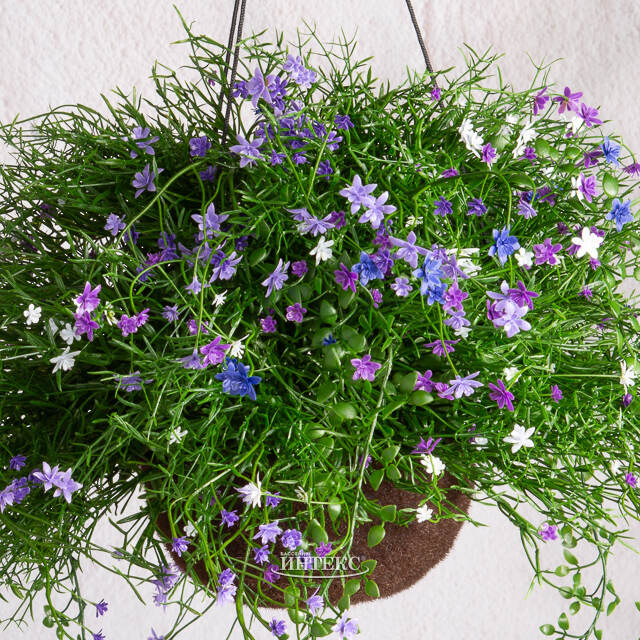 Искусственный цветок в кашпо Matera - Нежный Сонет 43 см Summer Deco