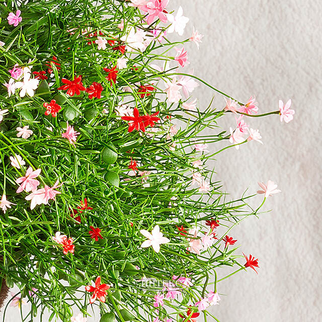 Искусственный цветок в кашпо Matera - Цветочный Коктейль 43 см Summer Deco