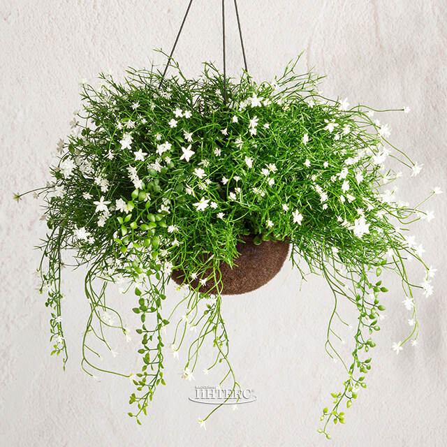 Искусственный цветок в кашпо Матерра - Магический Сад 43 см Summer Deco
