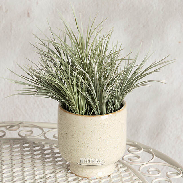 Искусственное растение в горшке Акорус - Bramhall 27 см Summer Deco